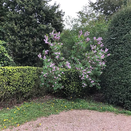 Château Du Prieuré évecquemont Pensión 4*