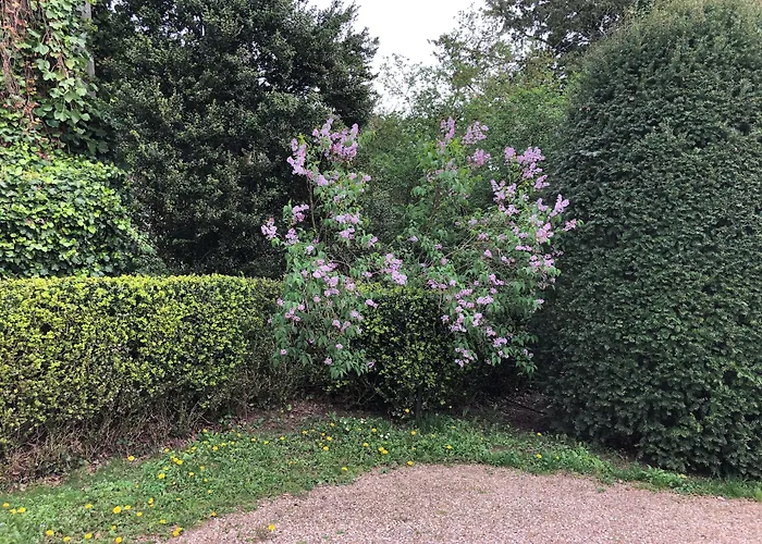 Chateau Du Prieure 게스트하우스 3*